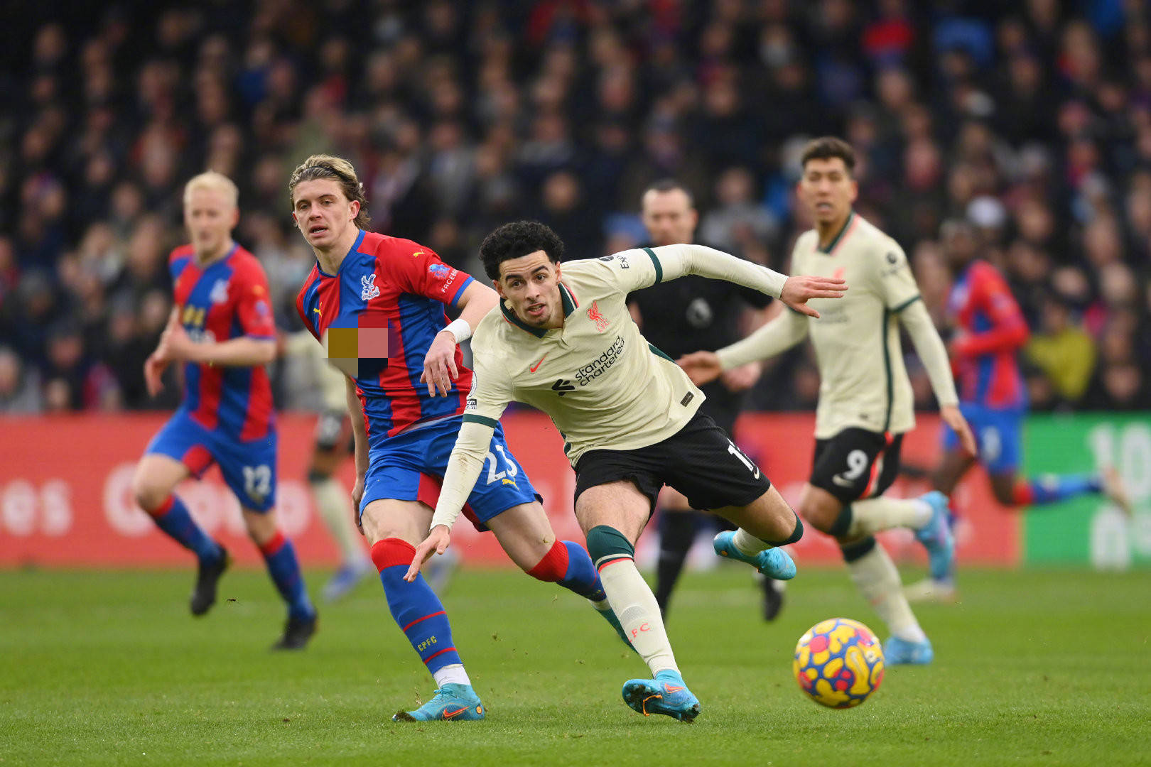 从某种意义 从某种意义